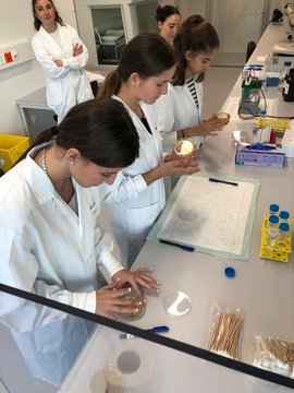 Praktische Laborarbeit von Studentinnen mit Laborausrüstung