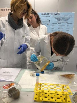 Frauen führen ein Experiment mit Laborwerkzeugen durch